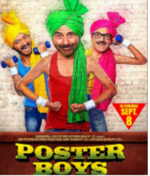 Poster Boys 2017 Movie